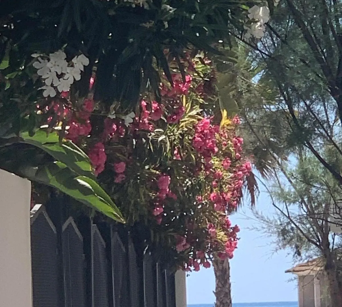דירות פואנגירולה Santa Monica 0*,  ספרד